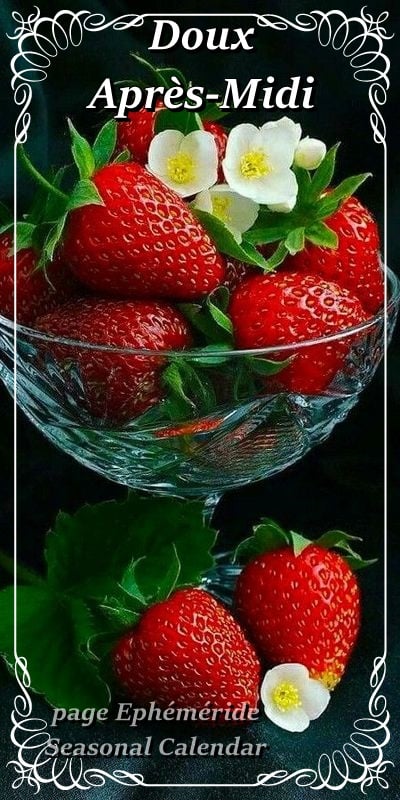 342160801_837108984686734_8181770008499065247_n