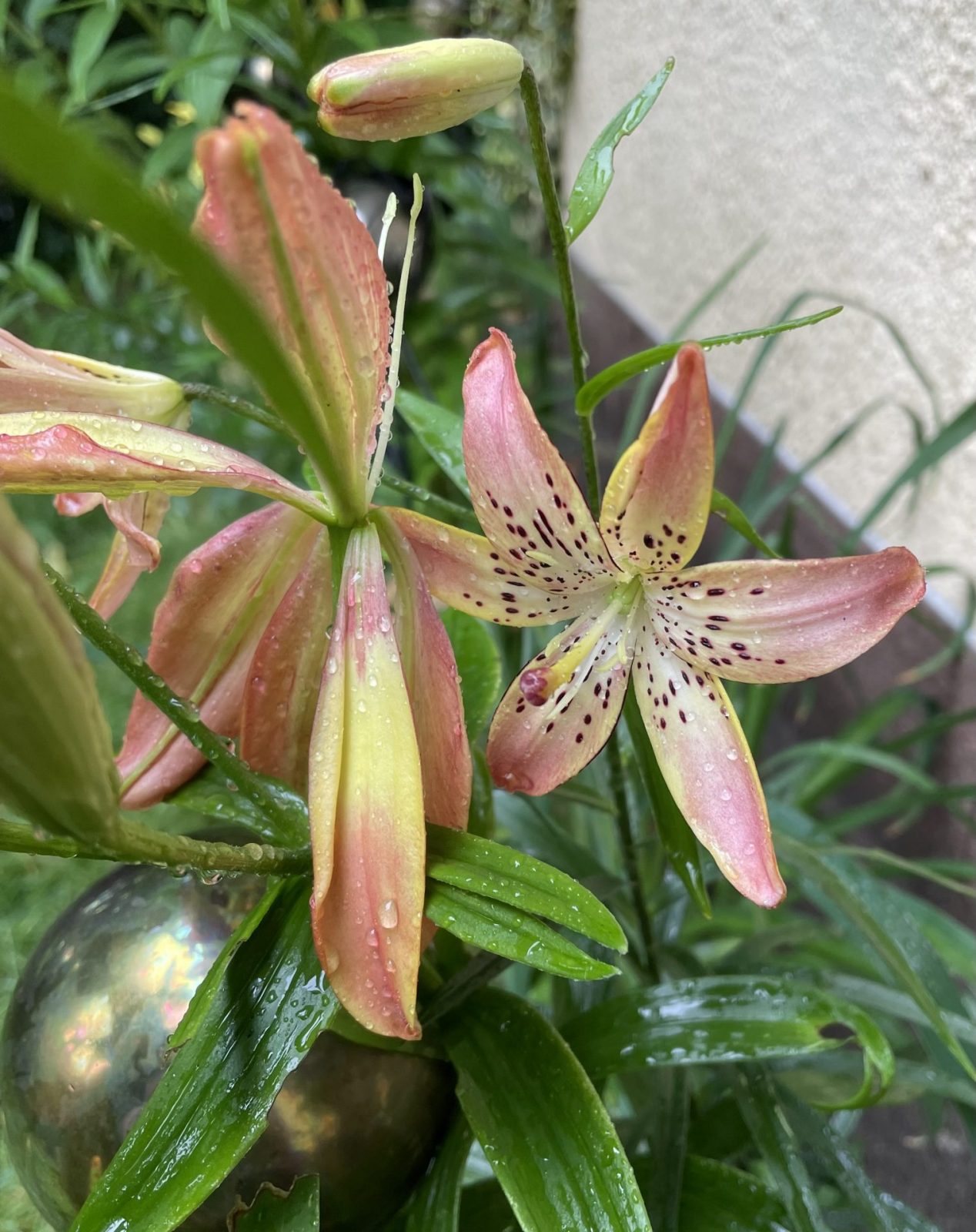 34272EFA-A00D-46DB-B1DE-2CD8AE78995B