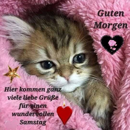 342975710_684063103728999_5209530932128625631_n