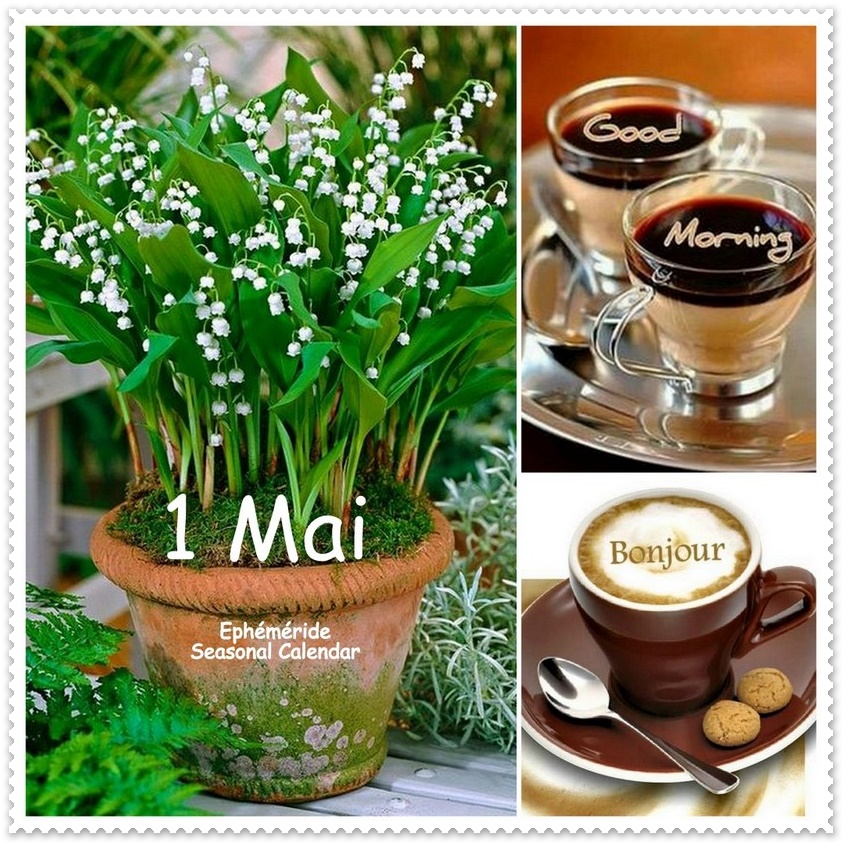 342993340_620457296652440_6325858856787630557_n