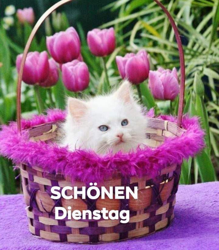 343000134_2728678490619077_4127811991654140034_n (2)