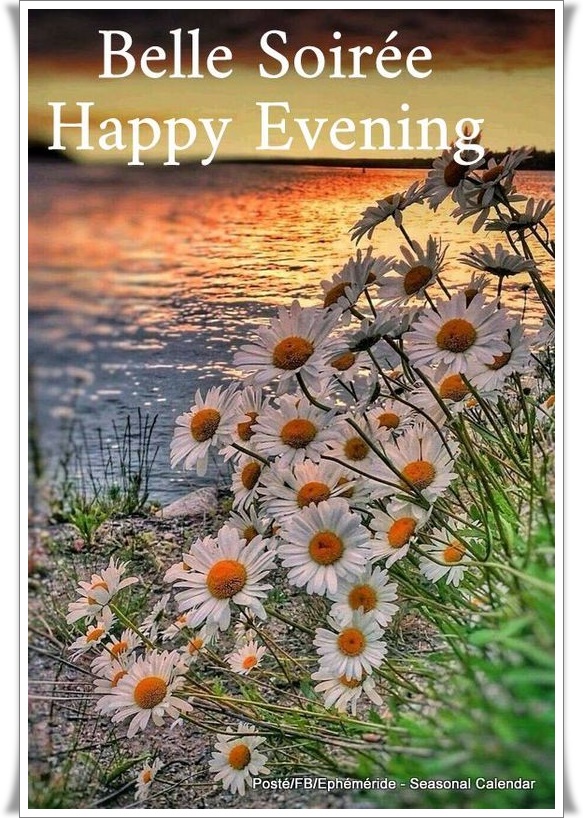 346487014_769173881362049_8570321522014699879_n