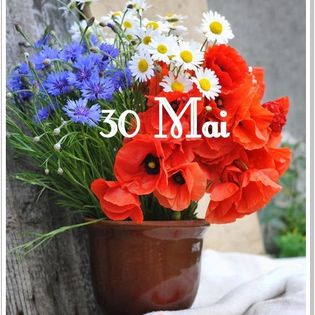 349590238_247513081206517_7279126171007204270_n