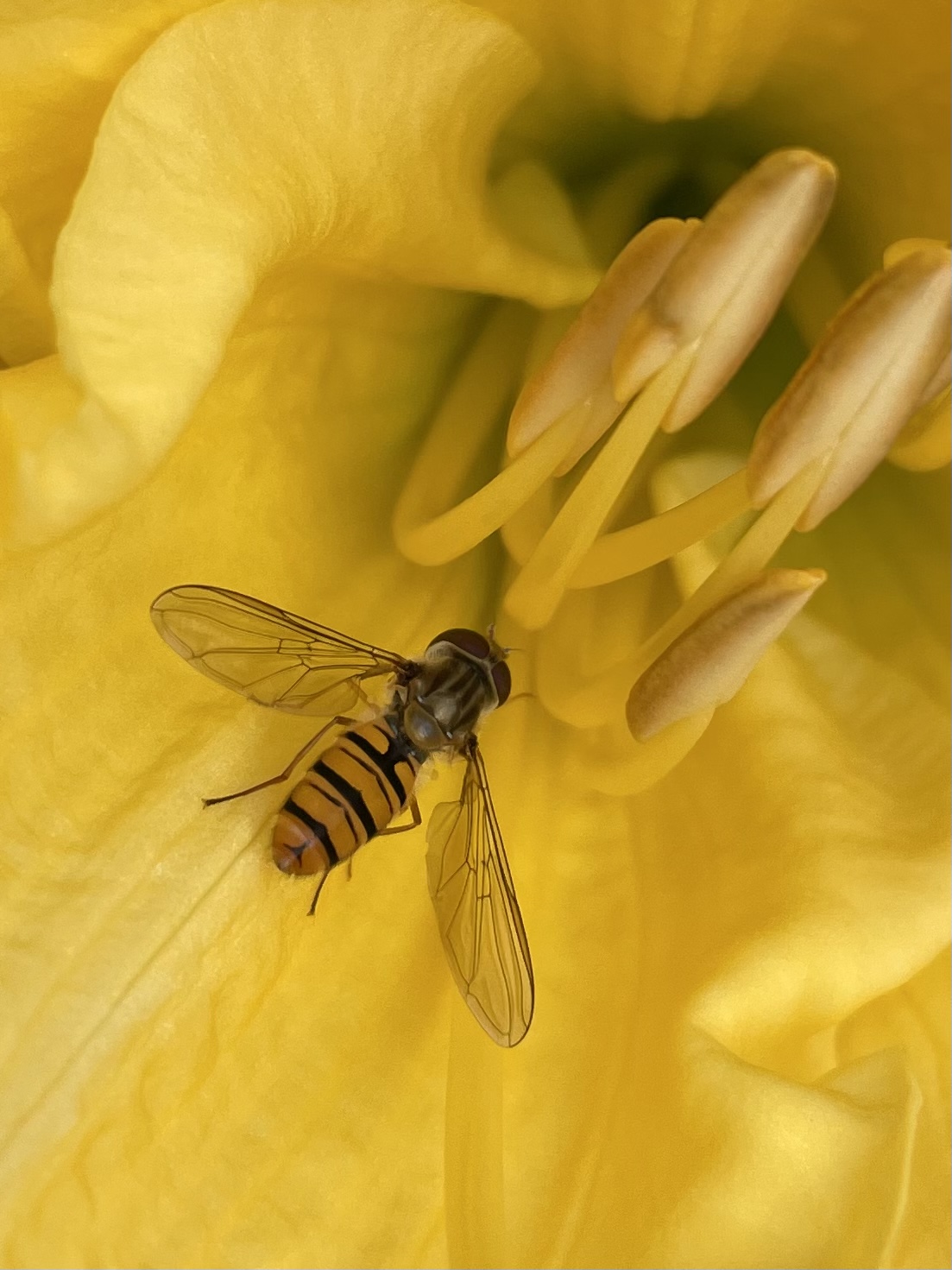 34A825F4-E38B-479E-B1CE-79EF33A72C8D