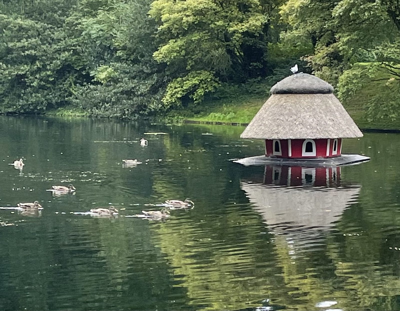 34CA31A2-9421-4559-B4F1-C2A144AF4FFD