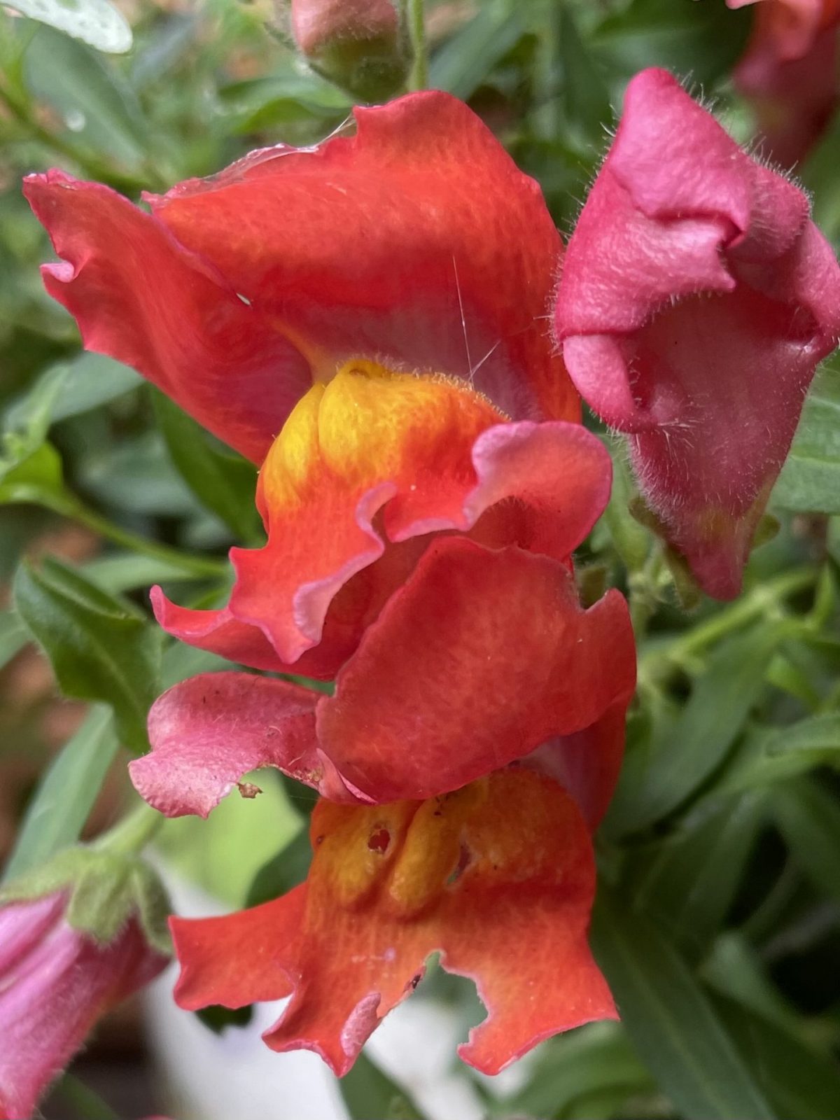 34DD7877-E93F-4B86-8E20-8901CFD6A7E3