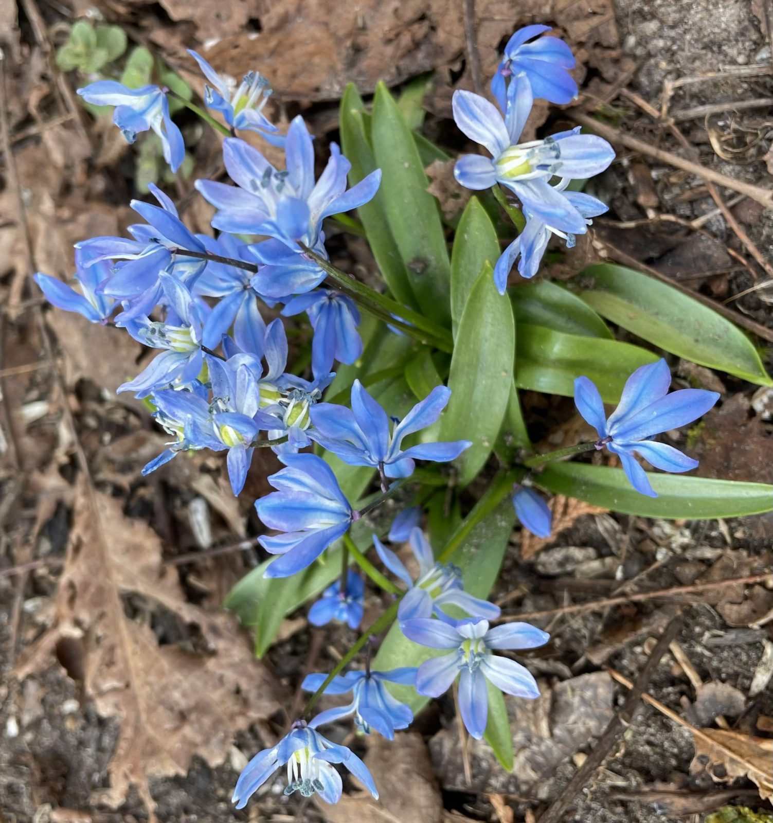 34E2E8D6-BB3D-4A9B-A6F0-0729EF80E3ED