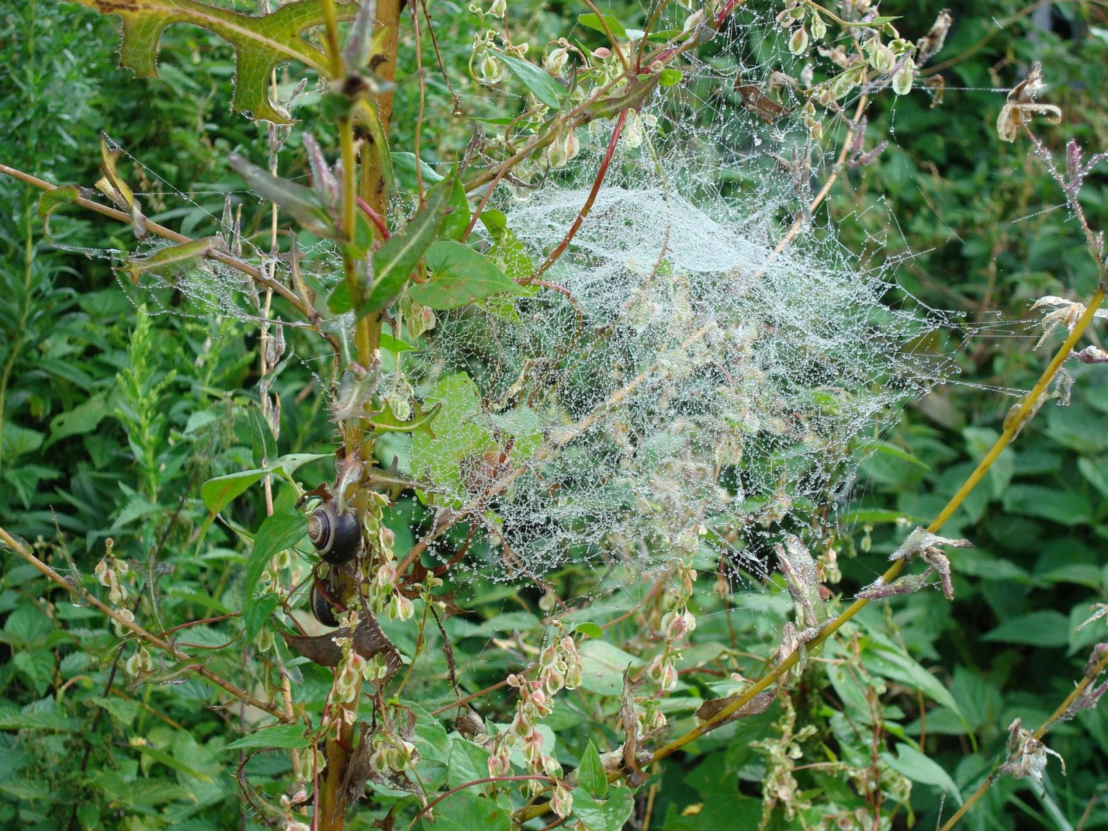 34F5BD70-7D2D-414E-BA9B-EBC69359B345