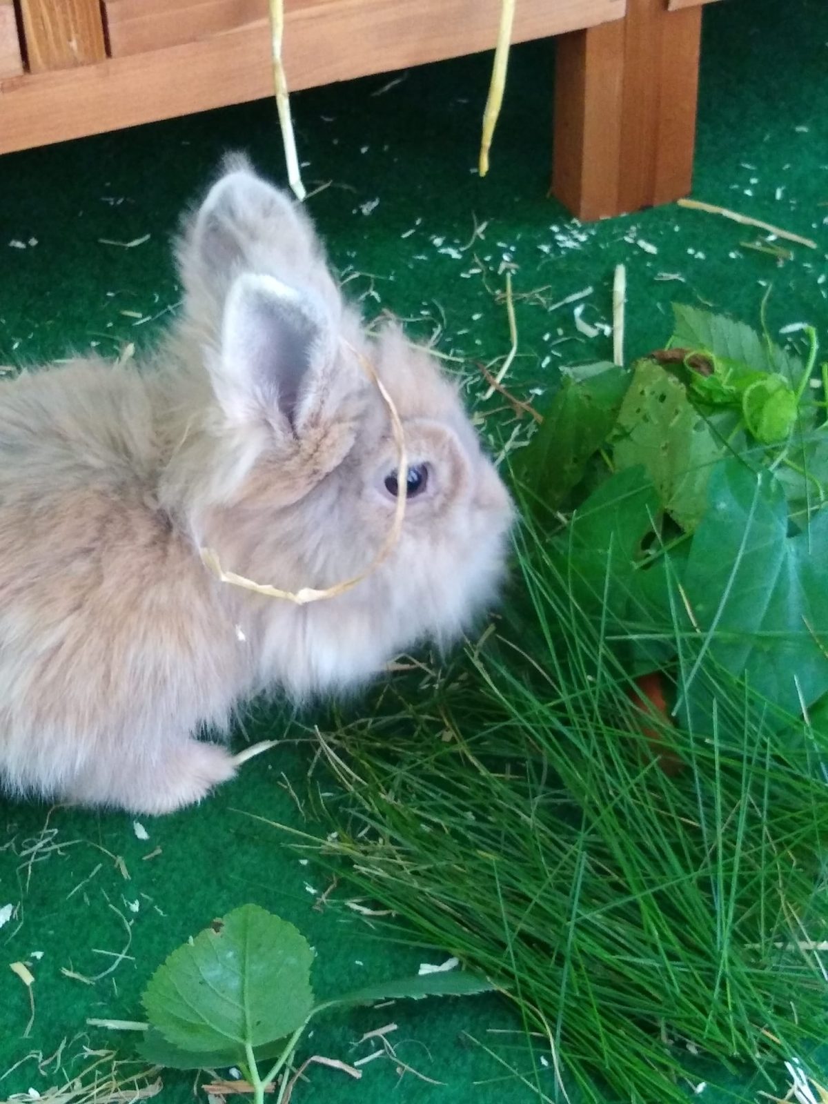 3508406D-7CCF-491C-B424-77D12CAF18EE