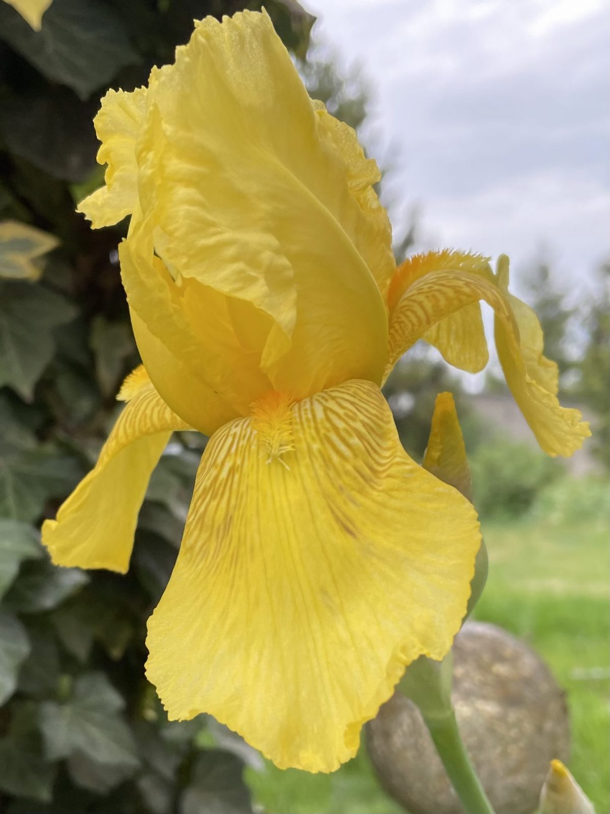 350F9992-35F8-460C-A44C-60F254DB62C4