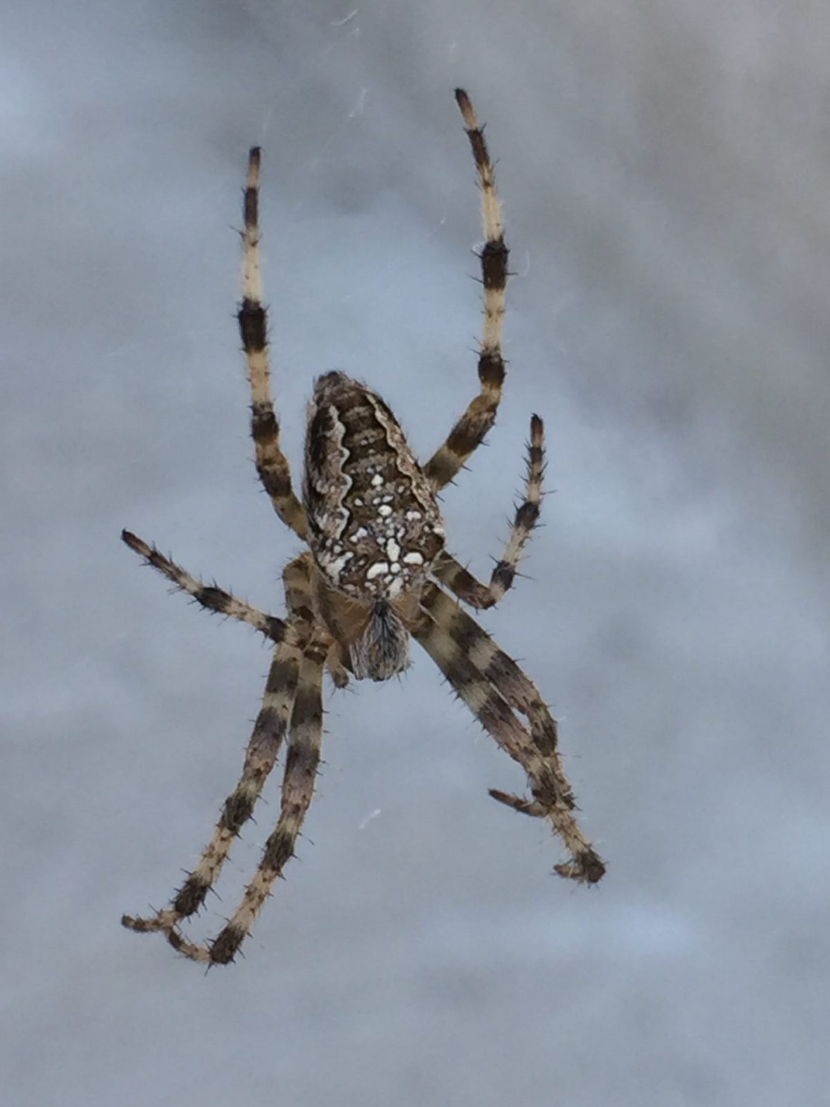 353C45BC-7FCE-4D7E-A173-2A8CB2EDD08F