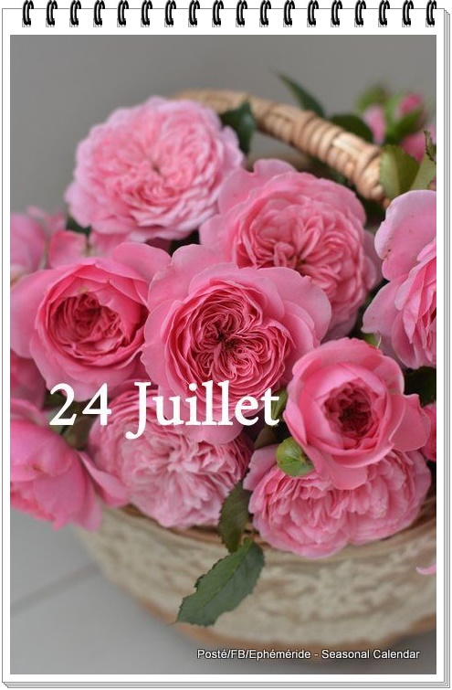 356195466_703520325143606_3153106717348410058_n