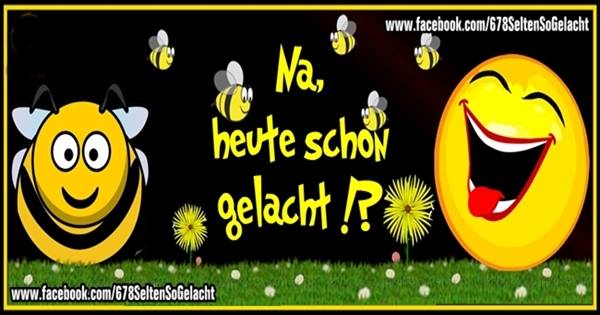 35694867_1144956052318212_6458228862844141568_n