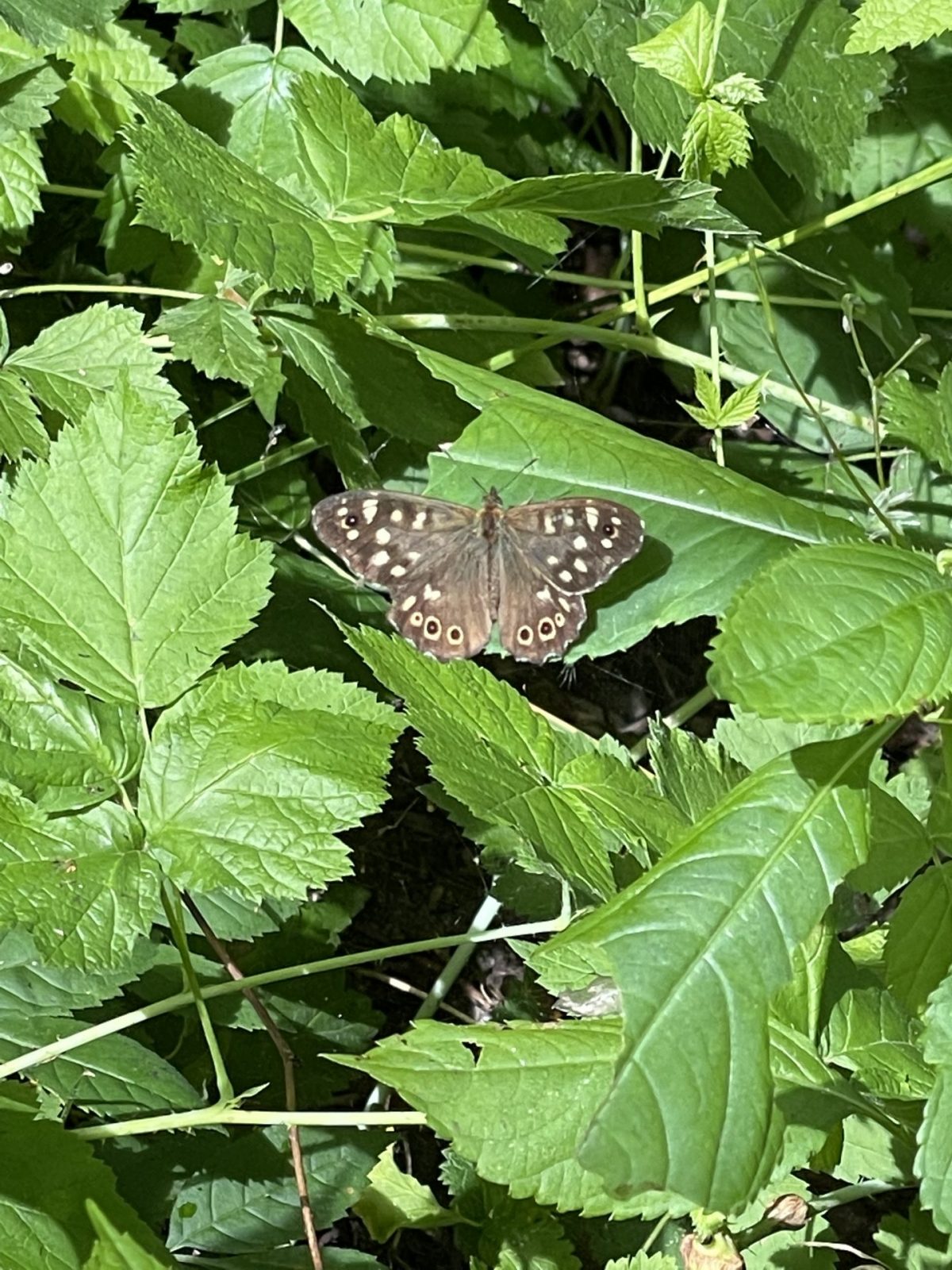 35E30CE9-5686-4B41-9780-DDC0FEFD06CE