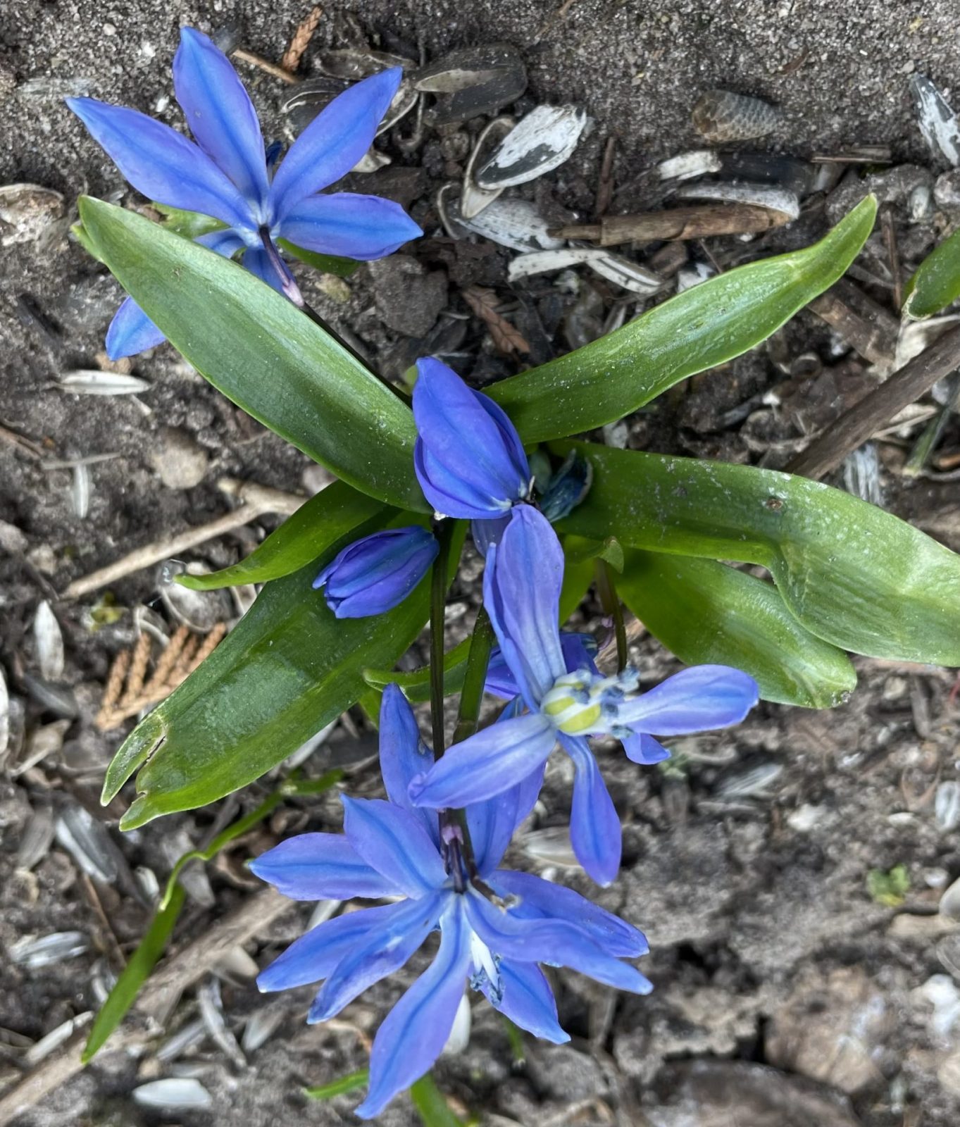 35F02A08-E026-45A3-AB9D-0F91BAD382E5