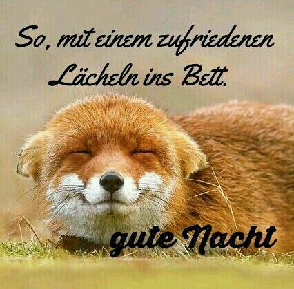 35d2353134641c857c1889415e45c4e3.jpg abendgruß