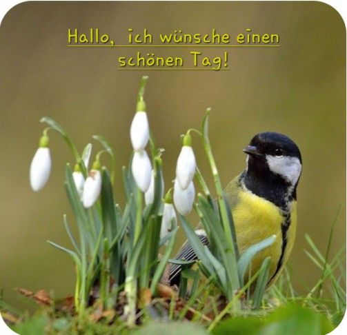 35efc303faefd733c52253c659031b85