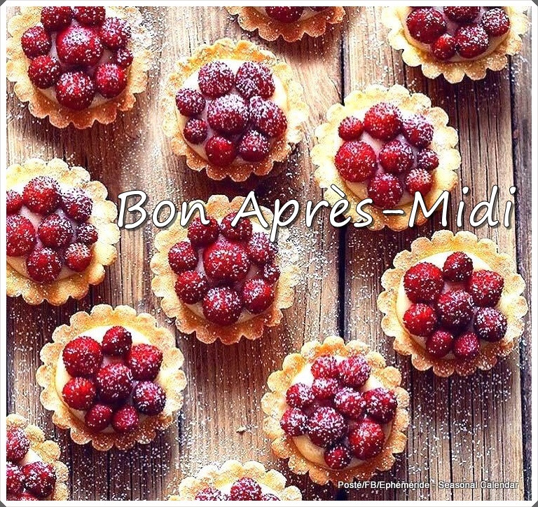 363788971_707093991452906_1862688240255642957_n