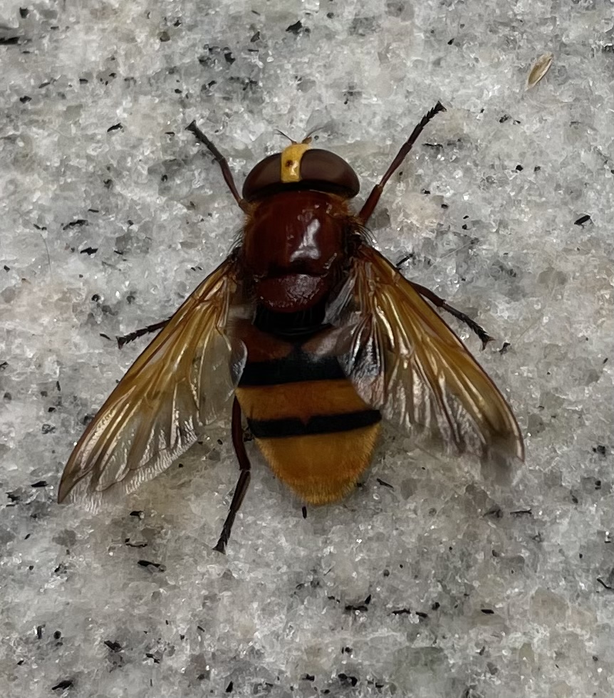 36489328-F361-487E-BE41-69253BCFB686