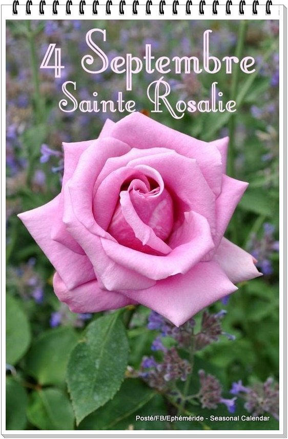 369736390_726265509535754_7655802287400557481_n