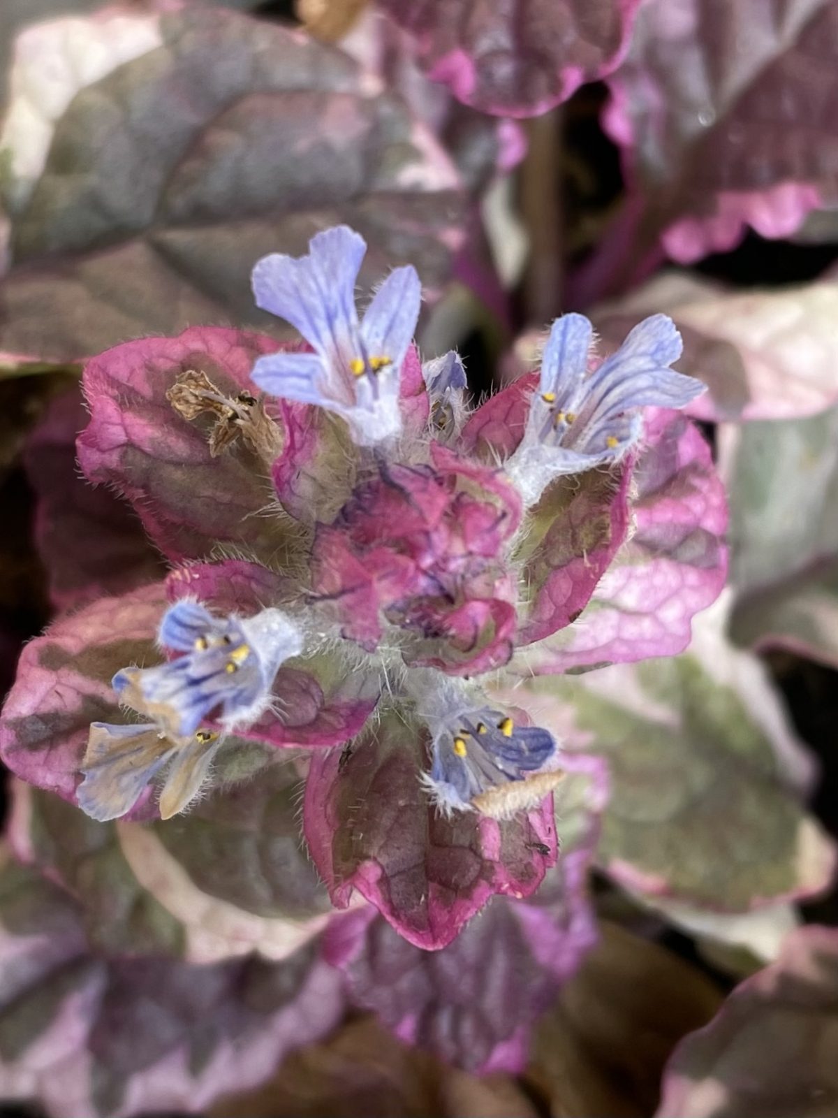 36D6A4DE-ACD8-4088-B963-298974B5DDC7