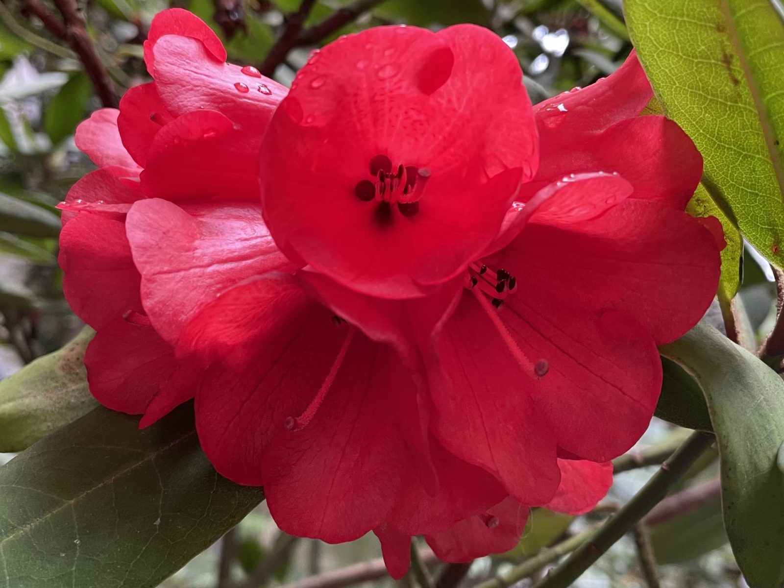 36FC9613-E9F6-491A-9C8A-E2EB0E9FB43D