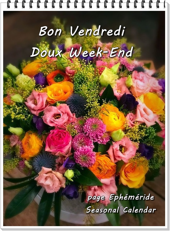 374826907_728228472672791_5092465979638720793_n