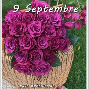 375139471_728709742624664_389293043620817776_n