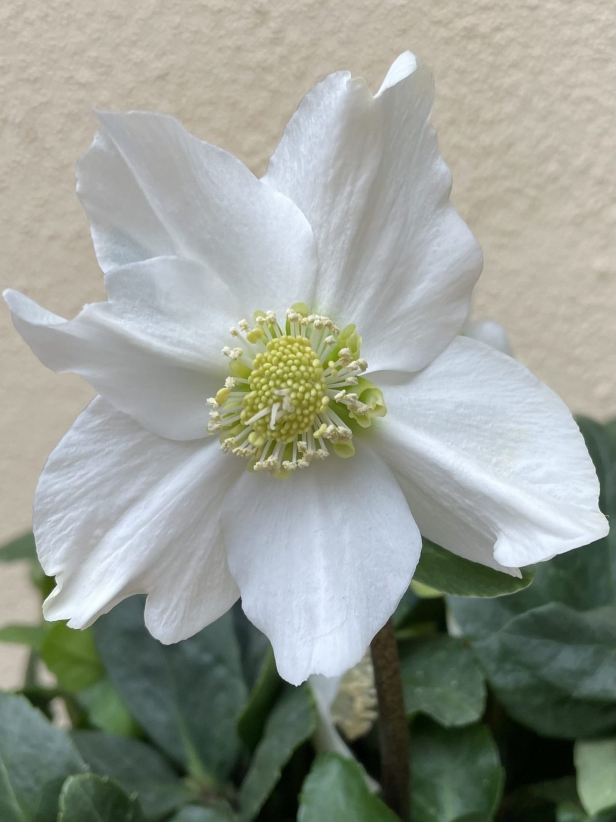 379ADA61-9800-4F40-B8DC-0C2FF96BED4A