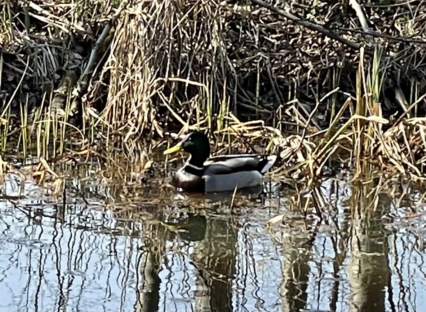 37AE66EF-BA5C-4E0E-9415-56D1831258D9