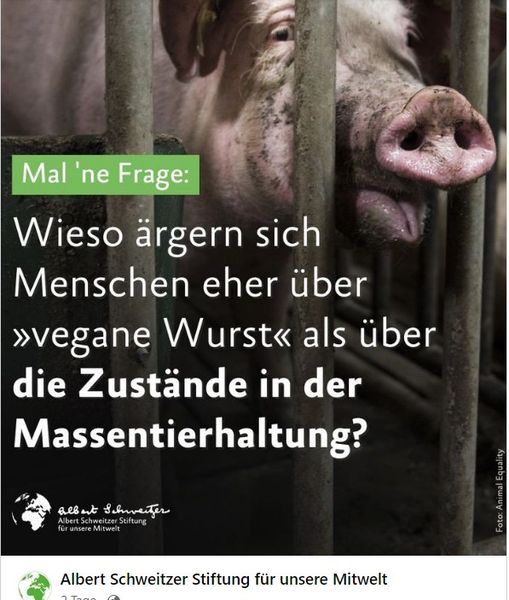 380953756_618383557120169_9081849736536950047_n