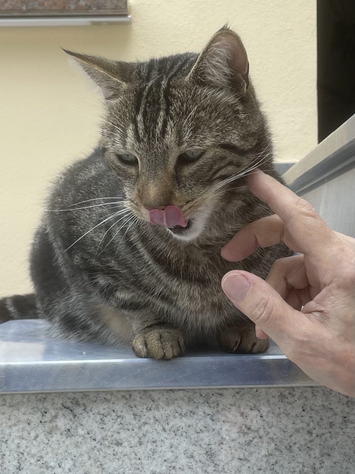 3837D94C-2218-41A3-BD7D-6107AC441342