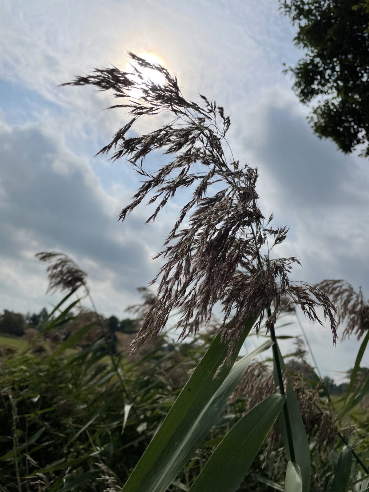 384BAAB0-3039-4997-8827-E9BFC26DC4C5