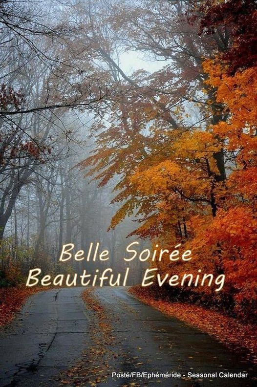 387788579_749006017261703_6598329966082757940_n