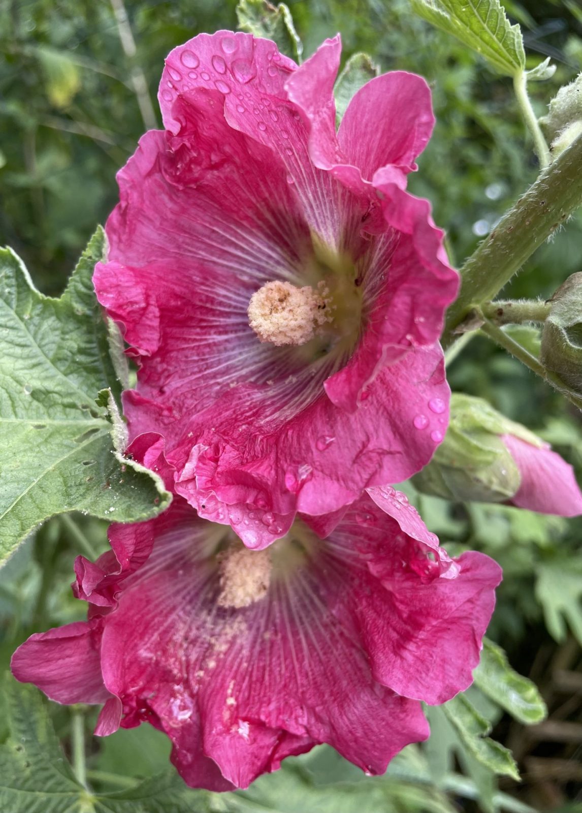 387EF499-0A42-4A53-B42F-9AE4F730F950