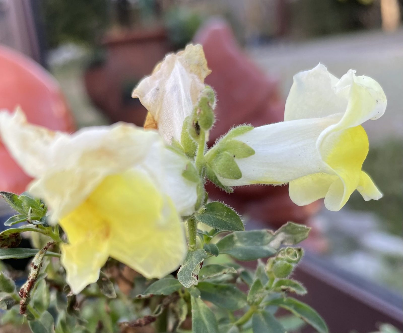 389838B8-1226-4E12-85F4-3D938767447B