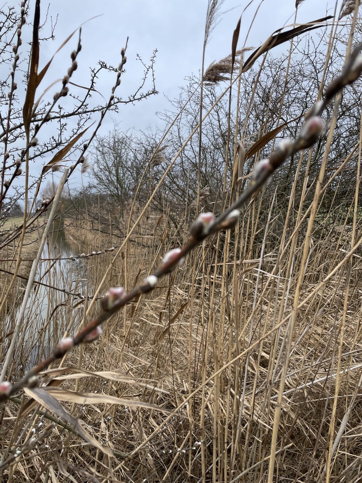 389F650D-1CA0-4908-AC3F-925389A96767