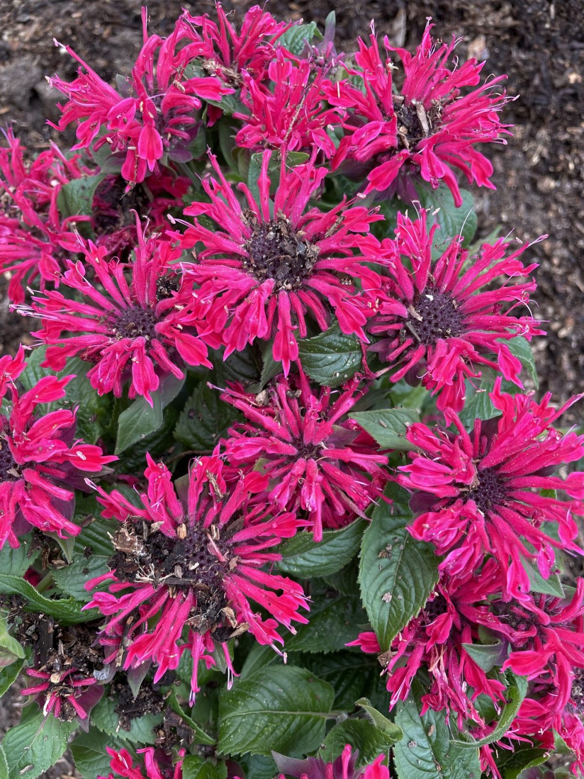 38B00E21-937A-4287-AC73-1E0EB8B9750F