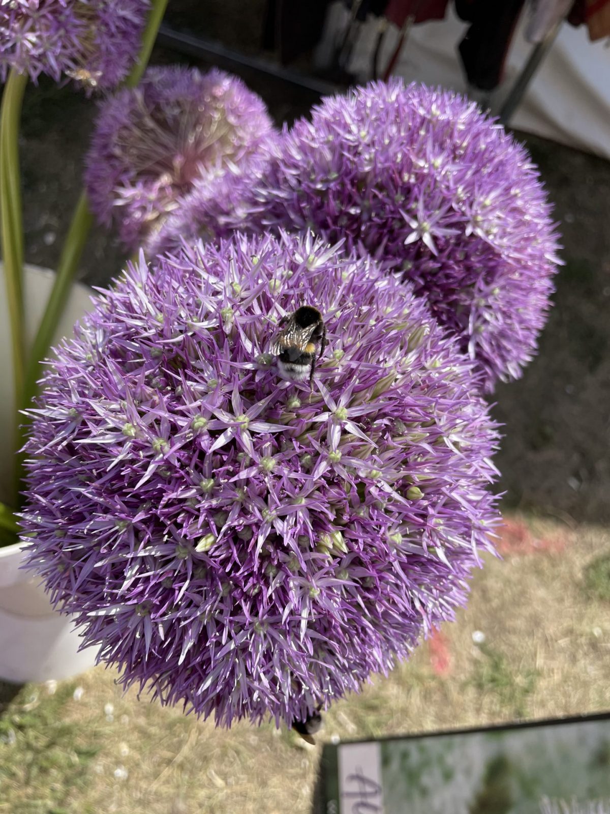 38CEC463-1000-46E0-A5FC-4BFD5CF3F085