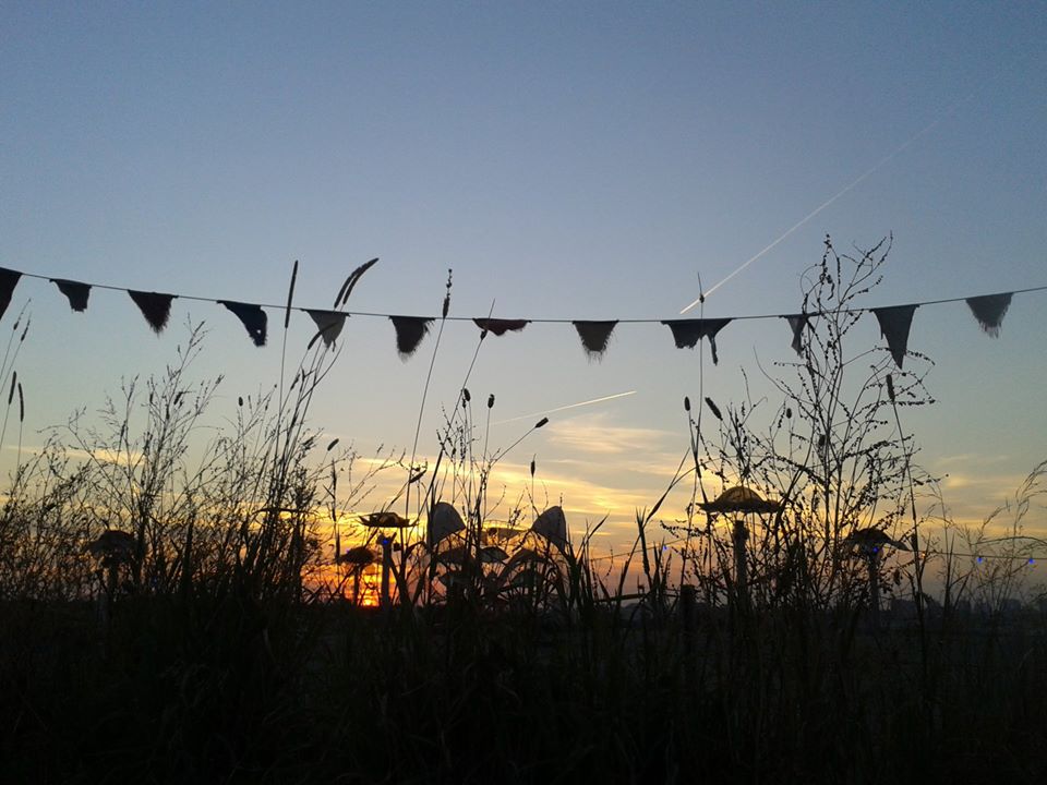 39403383_10217336271543416_5599064919212294144_o