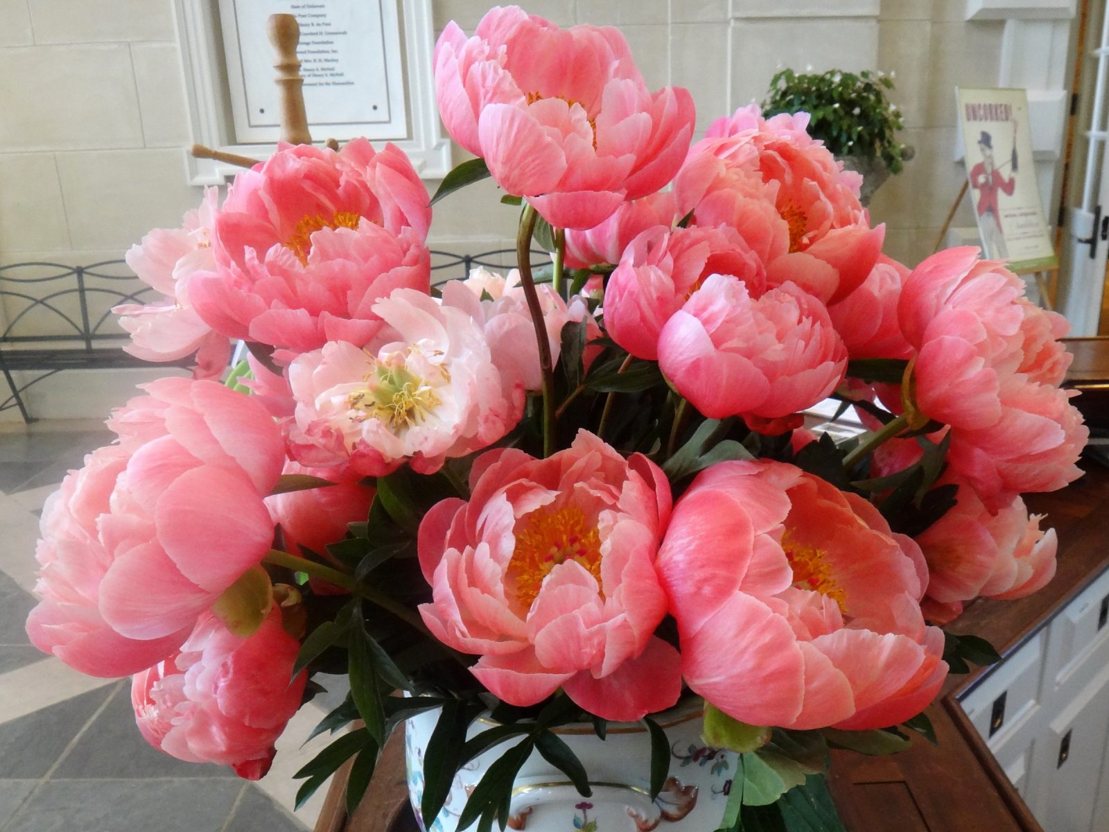 395345-svetik.jpg vfdrt