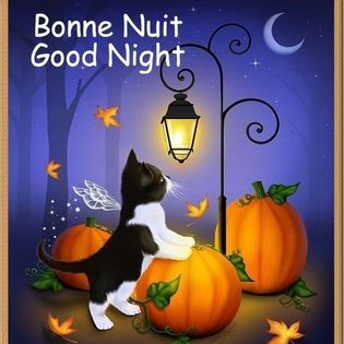 395386443_756730069822631_3191297631611434065_n