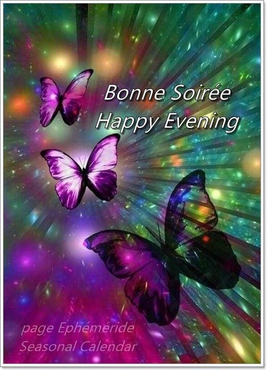 395443289_756081726554132_1579733731685748089_n