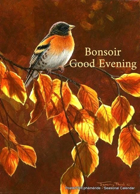 395443289_756081726554132_1579733731685748089_n