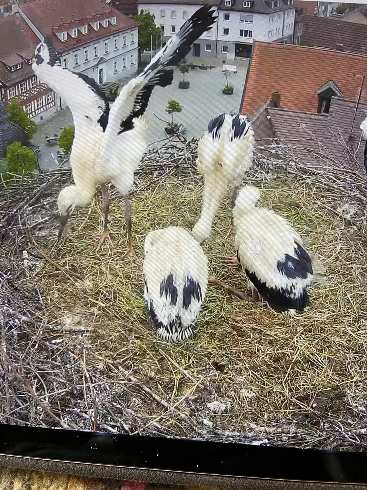 3A228C11-6937-43C4-9B93-DF6937D0E14F