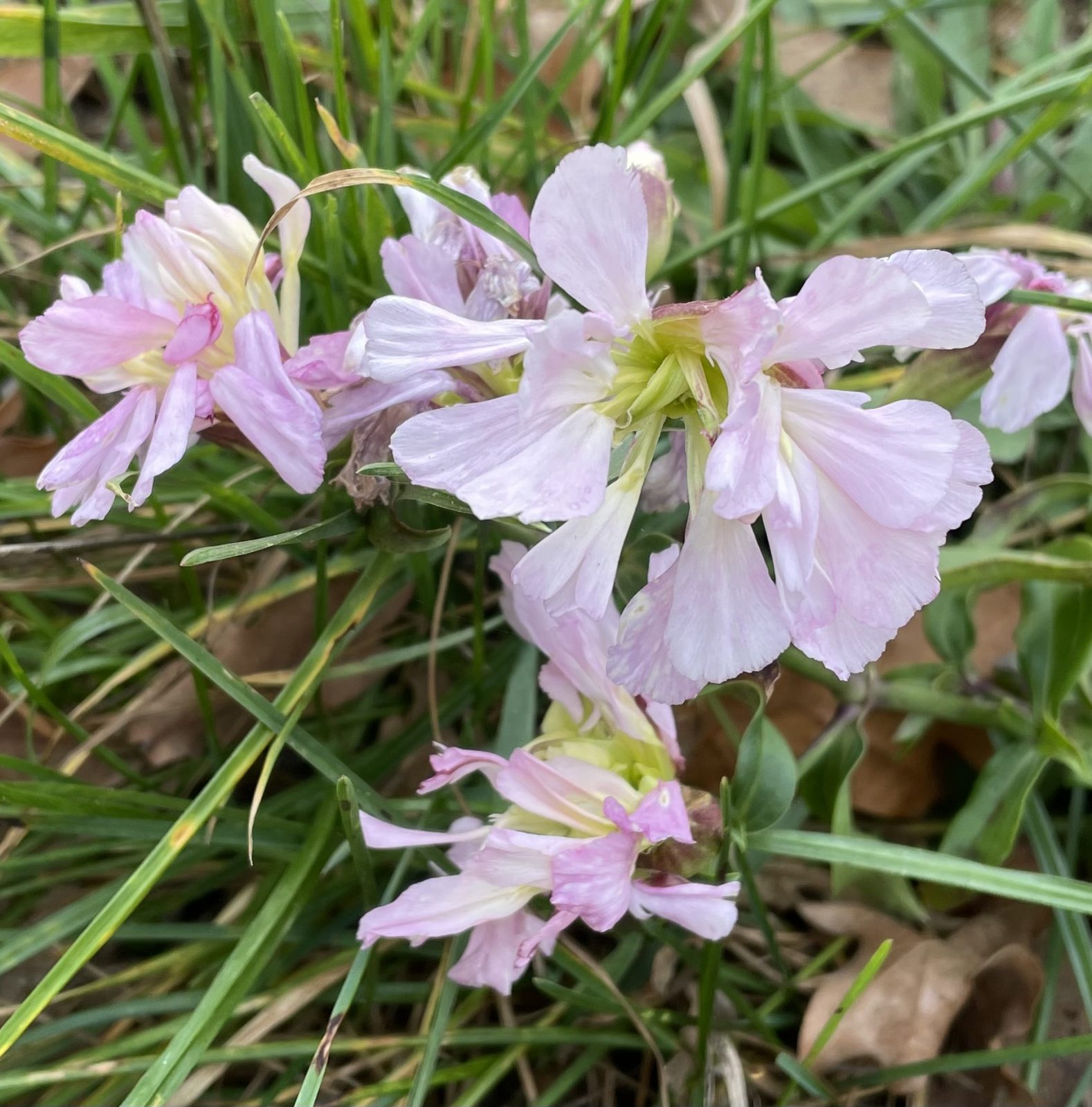 3AE8348D-93C0-4270-BC91-4E31E9831BA0