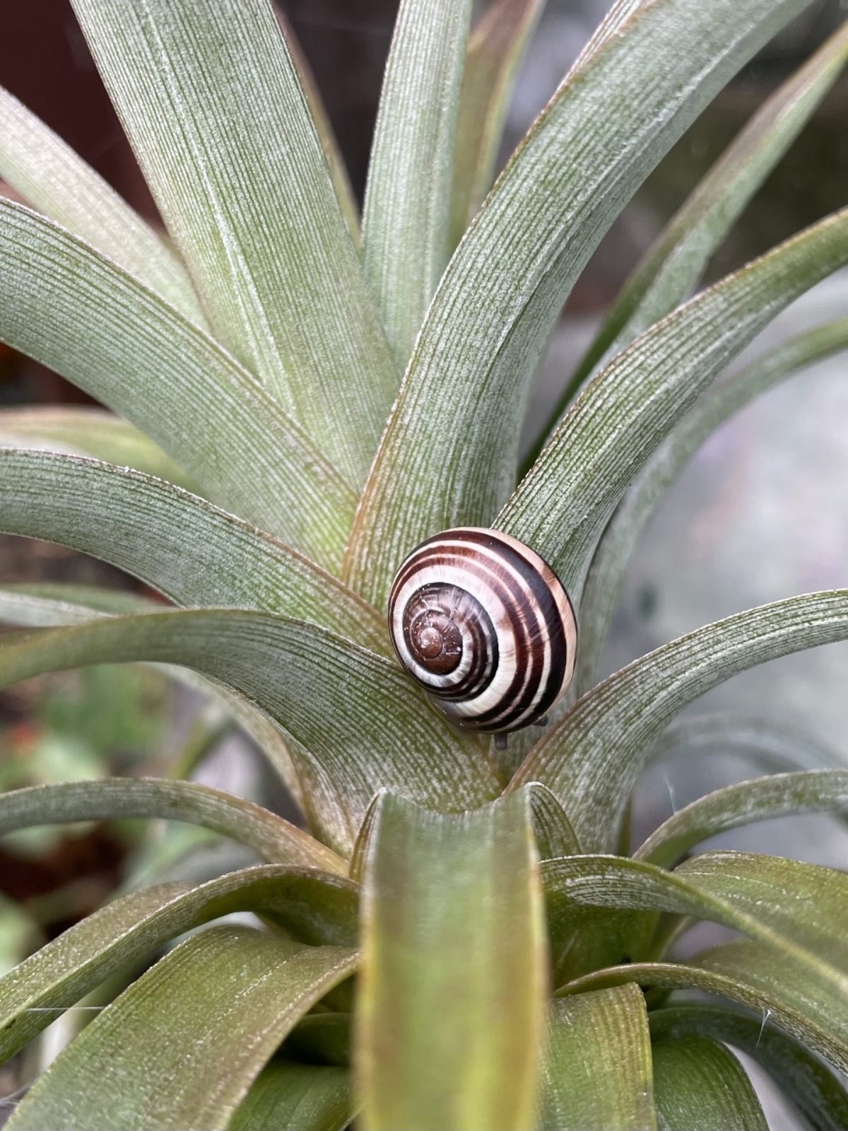 3B2DD035-321F-4469-9348-C4BDA4961898