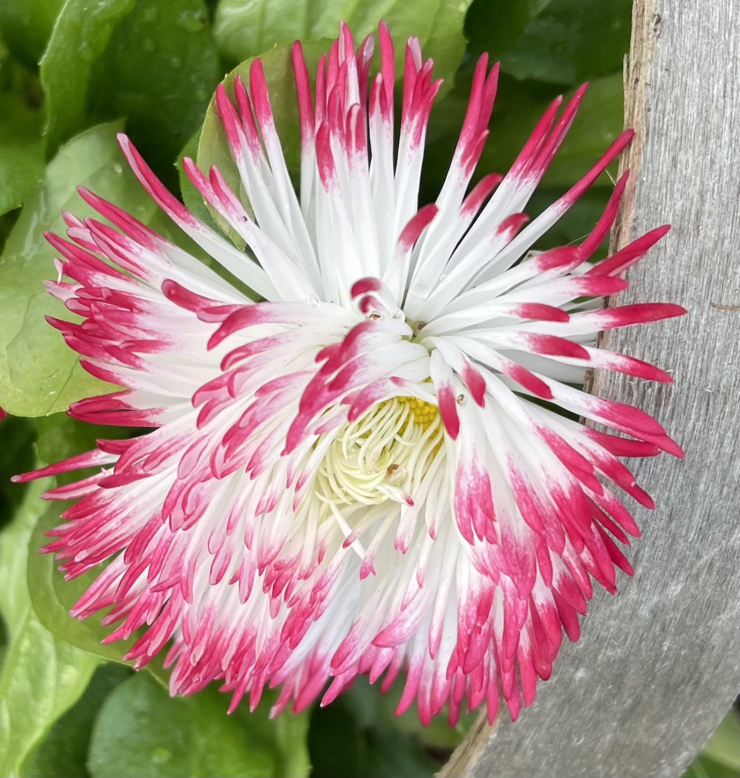 3B39754A-A9FF-4C20-8106-FAEAE9D47234