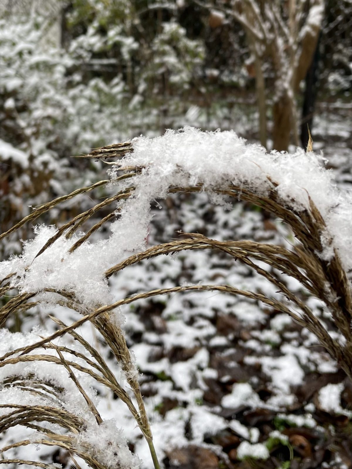 3B427E71-D493-4FCA-8D4D-09B086634313