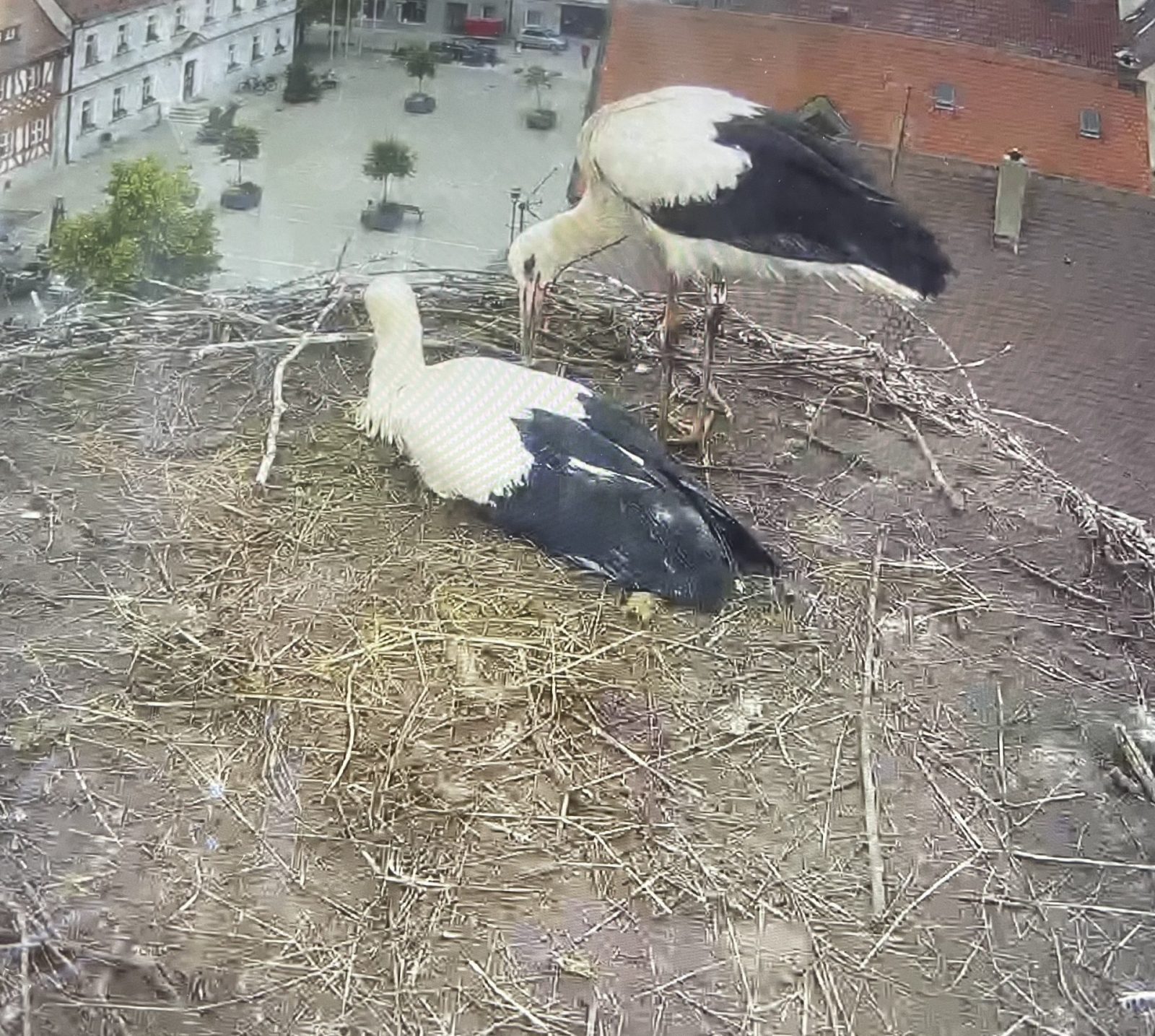 3B8A2DDE-3297-49DF-92E8-523F8CDE61AE